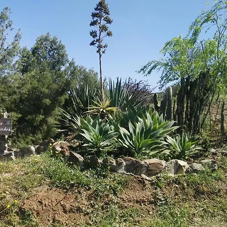 Pinar El Almendra