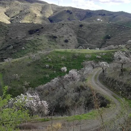 Holiday home Pinar El Almendra *