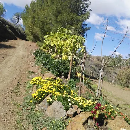 Pinar El Almendra Málaga