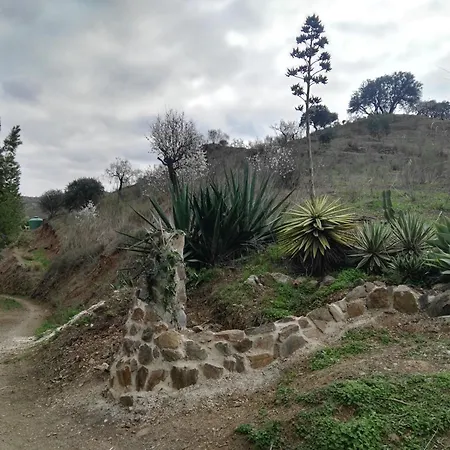 Pinar El Almendra Hébergement de vacances *