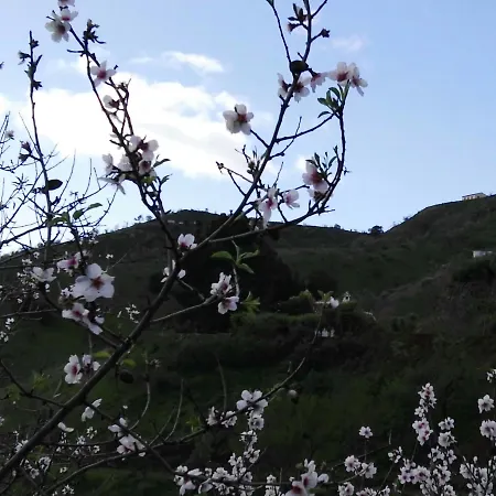 Vakantiehuis Pinar El Almendra *