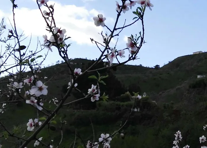 Dom wakacyjny Pinar El Almendra *