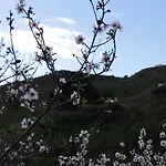Feriehus Pinar El Almendra *
